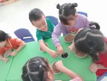Hoạt động gieo hạt trồng rau của lớp A2